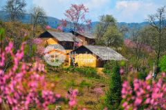 Đất du lịch trung tâm sapa 2 y tý chỉ với 2,x tỷ