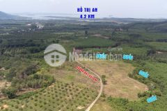 Bán đất xào view suối tại xã thanh sơn, định quán, đồng nai diện tích 1,000m2 giá rẻ