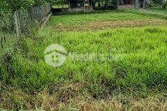Đất thổ cư 5x27,6 đường bê tông 5m, kdc đông tại long an, chỉ 1,48 tỷ. lh0976059679