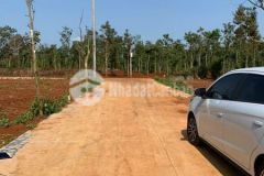 Bán lô đất hẻm cây phượng cư suê.