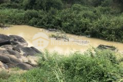 Sông giêng 550m tân đức hàm tân 2,1 mẫu 6,5 tỷ