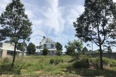 Đất 150m2 thổ cư 100 sổ hồng riêng gần chợ