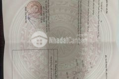 Bán 250m2 đất thanh sơn thanh thủy phú thọ