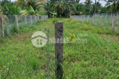 02 thửa đất thổ cư ấp phước thuận, xã phước thạnh, tp mỹ tho