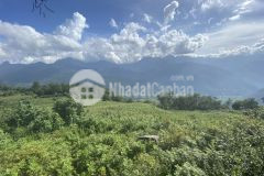 Bán ngay mảnh đất 3689m2 tại ngải thầu view săn mây siêu đỉnh