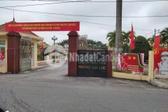 Bđs hợp đức, đồ sơn, hải phòng giá chỉ 499 triệu