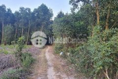 Đát ven biển đường sa huỳnh dung quất phổ an