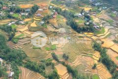 Bán cắt lỗ mảnh đất hơn 1500m2 tại phìn hồ, y tý giá đẹp thích hợp đầu tư