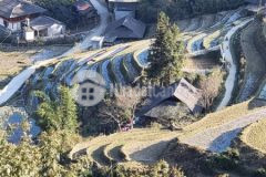 Bán nhanh mảnh đất gần 1500m2 view ruộng bậc thang cực đẹp