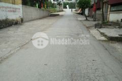 Bán nhà 2 tầng mặt phố kinh doanh, ô tô tránh, mai lân đông anh, 60m2 mt4.5m chỉ 3,7 tỷ.