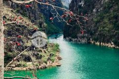 Đất nền hà giang vùng cao nguyên đá. hàng f0 giá cực rẻ. đón sóng sớm