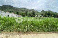 Đất đông hà, quản bạ, hà giang 377m2 giá 700 triệu