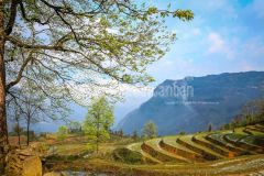 Bán nhanh lô đất diện tích khoảng 100m2 tại ngũ chỉ sơn giá đẹp phù hợp đầu tư