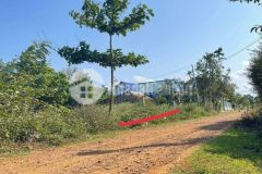 D377vpt bán đất sau ubnd xã cuôr đăng gần ql 14