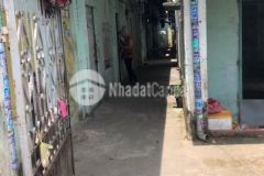 Bán đất tặng dãy trọ 19 phòng, giá chỉ 55trm2. p linh trung thủ đức