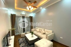 Bán nhà cầu diễn dân xây sổ vuông đẹp ô tô qua cửa 50m2x4t nhỉnh 4 tỷ