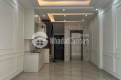 Nhà mới lạc long quân. thang máy. ngõ thông ô tô qua, đỗ cửa. kinh doanh sầm uất