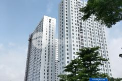 Chung cư blue star toạ lạc vị trí trung tâm trâu quỳ, gia lâm, hà nội.