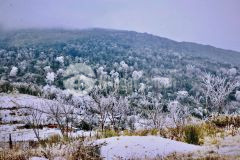 Đất y tý sapa 2 trung tâm hành chính