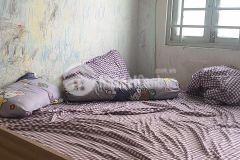 Nhà sát mặt tiền nguyễn thị nhỏ, tân bình, 2t 56m2 chỉ 5.5 tỷ