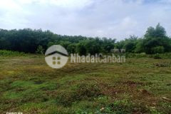 Ngộp cần bán gấp 2 sào đất.