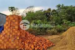 Bán nhanh lô cư suê giá rẻ nhất khu vực dt 5x30