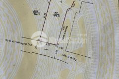 Nhà số 66159 xô viết nghệ tĩnh p21 bình thạnh.