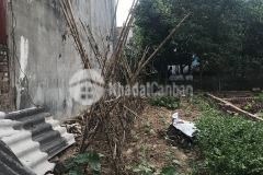 Nhỉnh 1 tỷ có ngay 70m đất xuân bách đường ô tô vào.