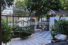 Biệt thự siêu đẹp trục hiếm nhà bán