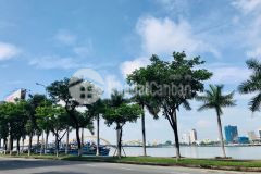 Đâu tư khach san, đât vang đa năng, 124m, 7 tâng, chu giam chao 5 ty.