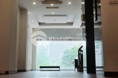 Chính chủ cho thuê nhà liền kề 06 tầng khu đất đấu giá mậu lương kiến hưng, hà đông