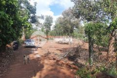 D388vpt bán nhanh 3 lô đất liền kề, đất hẽm 205 đường nguyễn thái bình