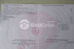 Bán đất đẹp giá 3,7 tỷ764m2 có nhà cấp 4, tân lập 41, bắc tân uyên, bình dương