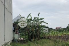 Đất full thổ cư 105m2 vuông vắn tại đông tảo, khoái châu, hưng yên