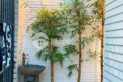 Nhà ngang bề thế 5.1m. nhà 4 lầu đẹp mê ly, giá nhỉnh 5 tỷ