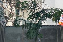 Cần tiền bán gấp lô đất đẹp tại thạch bàn, 40m ra ô tô thông.