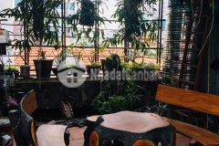 Diện tích rộng, sân vườn, gara ô tô, lô góc, ô chờ thang máy, 28 tứ liên, 120m 14,8 tỷ.