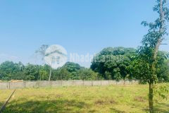 Đất lương sơn, hòa bình 1432m2, giá 4,5 tỷ