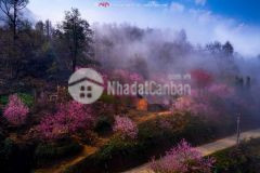 Đất du lịch mò phú trải y tý sapa 2 lào cai