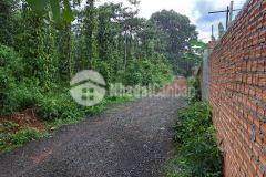 D382 bán đất sào 2 mặt tiền hẽm khánh xuân gần hồ câu ông ngãi cần tiền bán nhanh