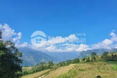 Mảnh 499m mò phú chải,view tuyết rơi đẹp nhất y tý