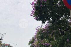 Bán nhà trung tâm giáp bát kim đồng nhà 2 mặt ngõ vỉa hè kinh doanh sầm uất văn phòn