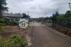 Cần bán hai lô đồi thông thuộc huyện ia grai khu vực đang nóng.