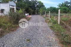 Cần bán 1 sào đất phủ hồng gần becamex sơn mỹ hàm tân giá rẻ