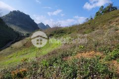 Mộc châu bán mảnh đất gần các điểm du lịch giá hợp lý