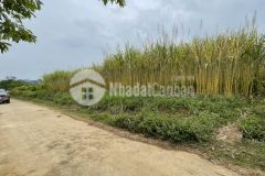 Bán siêu phẩm thổ cư nhiều tại nam phong cao phong. dt 4100m 2200m thổ cư