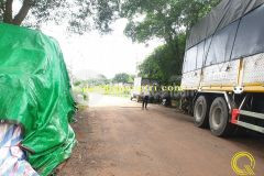 Mua bán đất mt bảo đại phú mỹ kiên triệu giang triệu phong