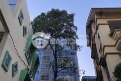 Chung cư mn văn quán,trần phú, hà đông 65m,7 tầng,17 phòng đang thuê,7 tỷ