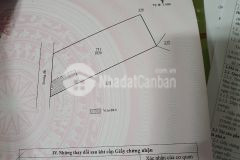 Bán nhanh hơn 1 sào ngay trung tâm ka đô, đơn dương giá 3 tỷ