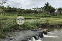 Đất hẻm bùi dự cần sang nhượng thuộc khu vực p hoa lư